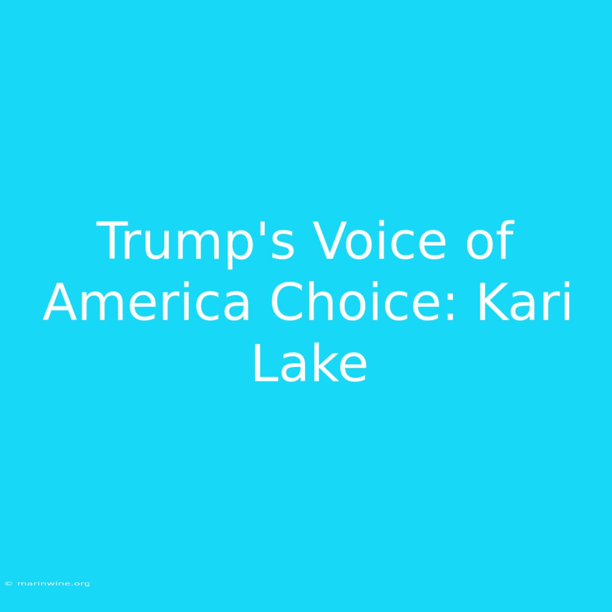 Trump's Voice Of America Choice: Kari Lake