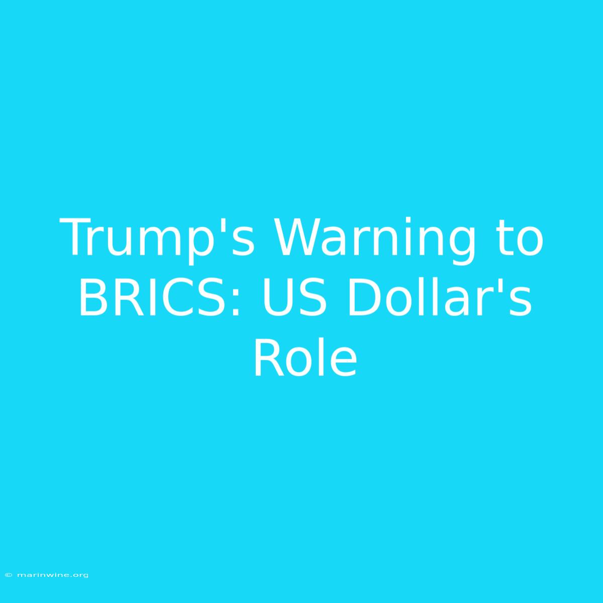 Trump's Warning To BRICS: US Dollar's Role