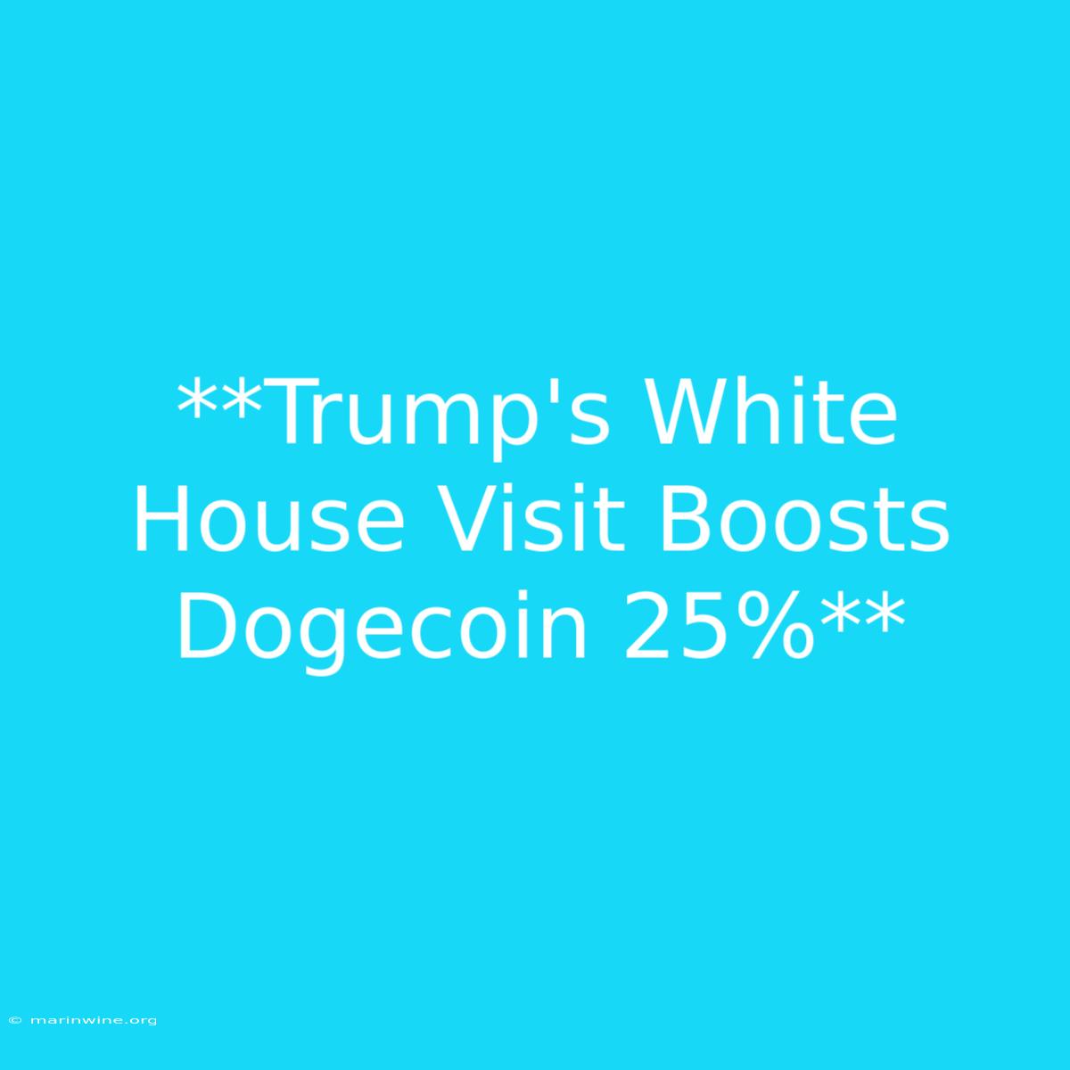 **Trump's White House Visit Boosts Dogecoin 25%** 