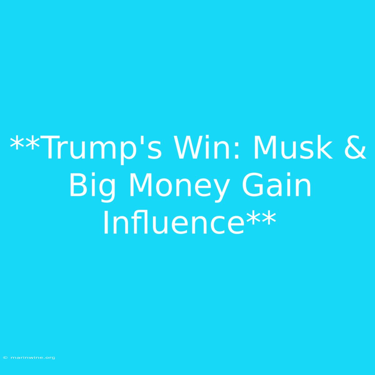 **Trump's Win: Musk & Big Money Gain Influence**