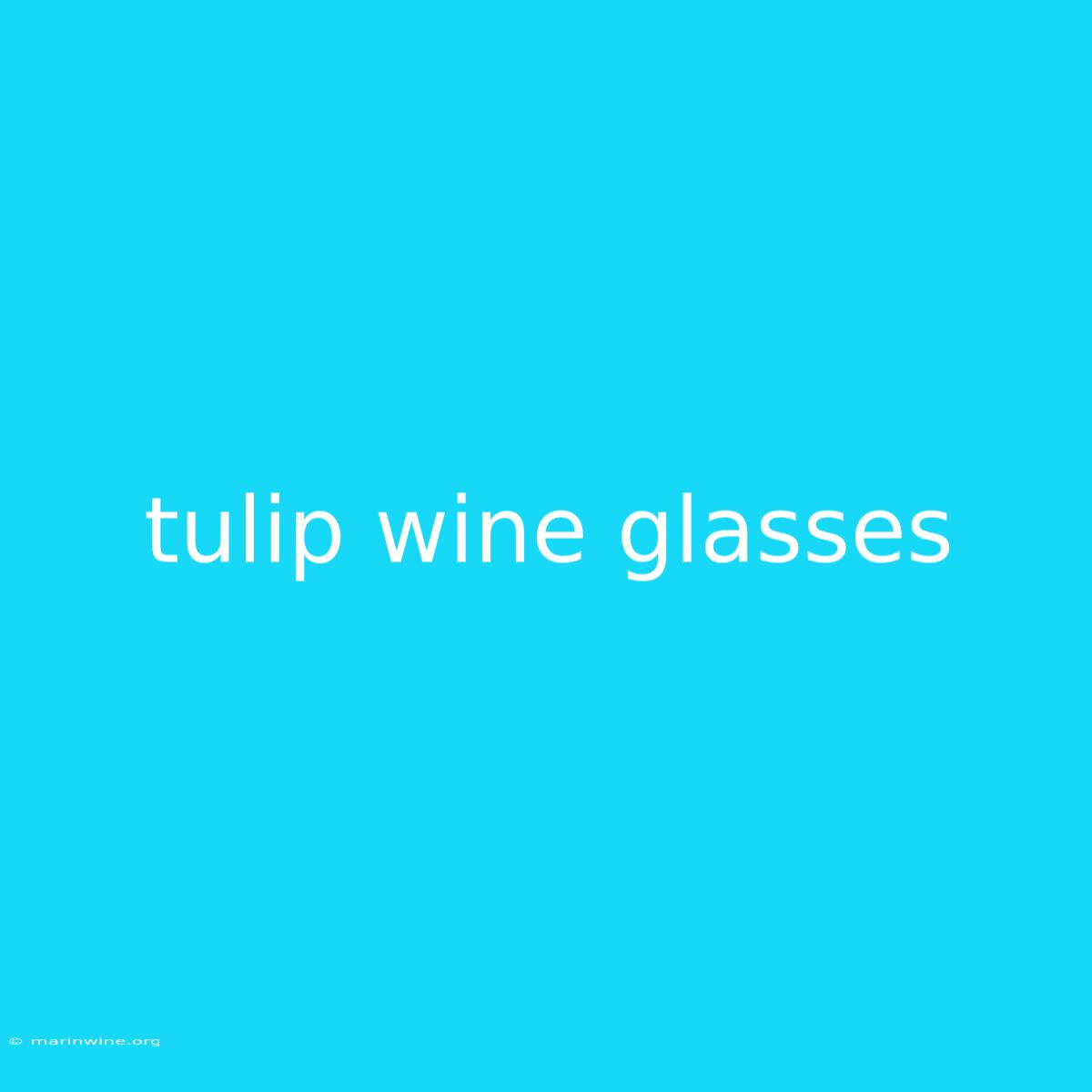 Tulip Wine Glasses