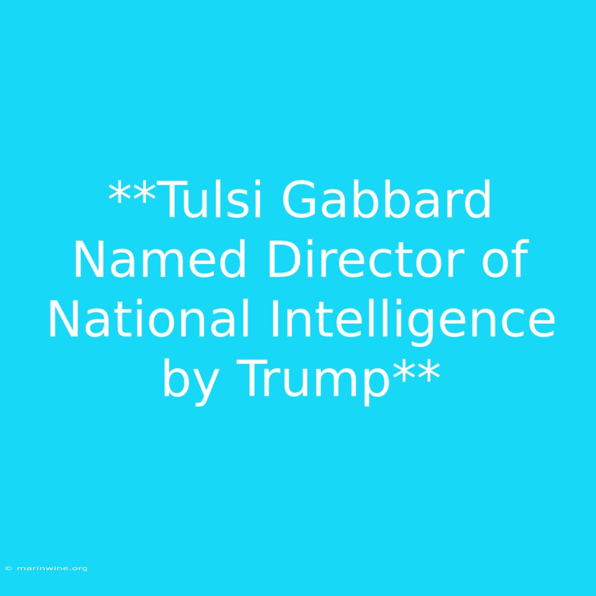 **Tulsi Gabbard Named Director Of National Intelligence By Trump**