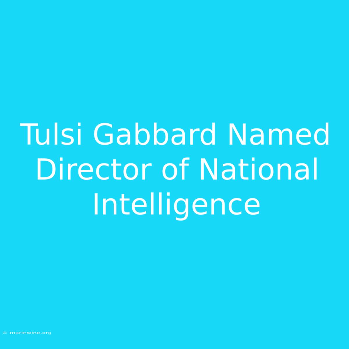 Tulsi Gabbard Named Director Of National Intelligence