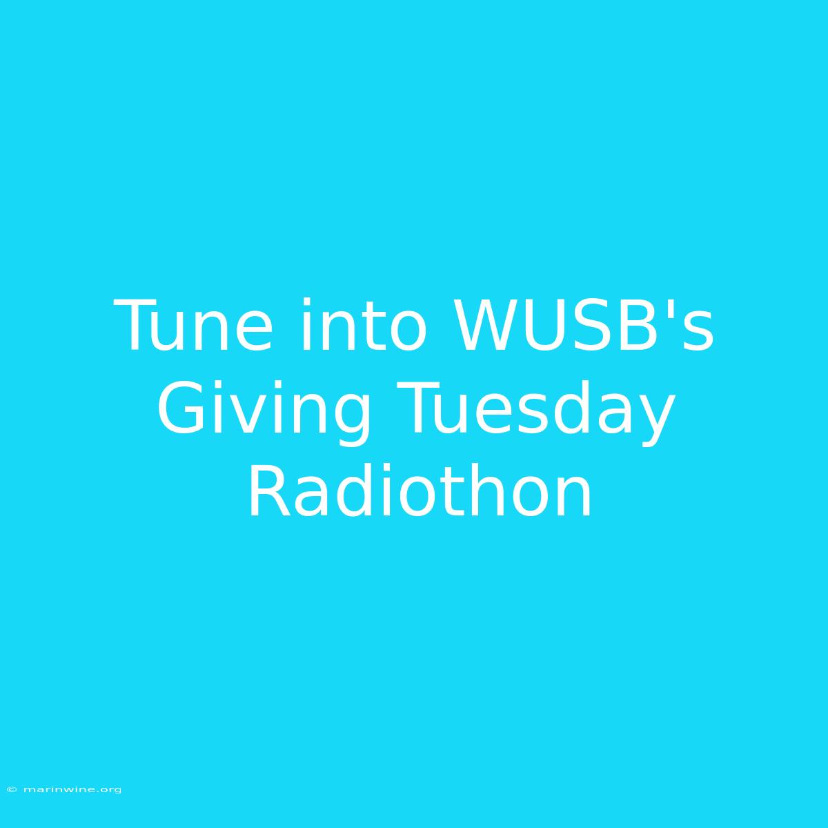 Tune Into WUSB's Giving Tuesday Radiothon