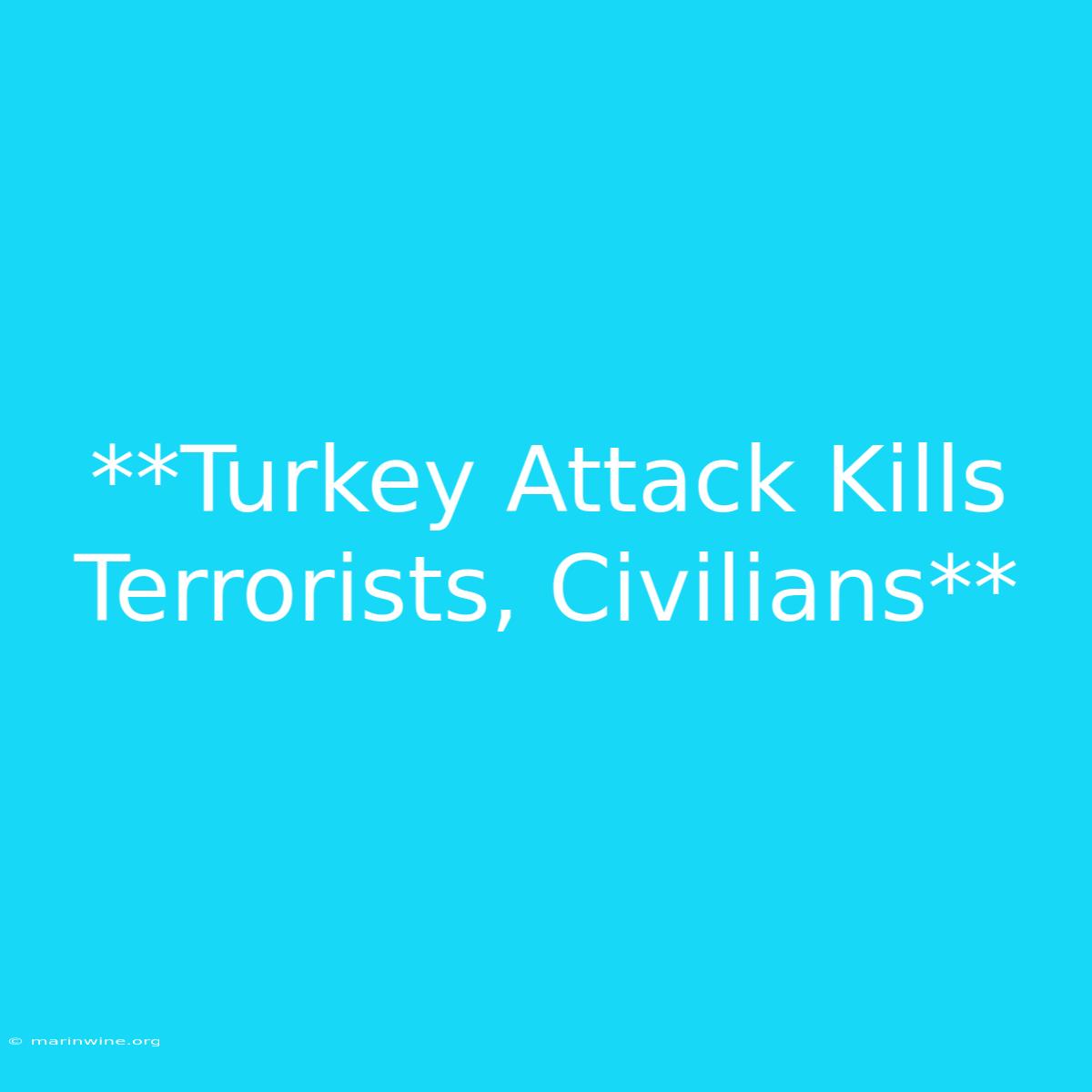 **Turkey Attack Kills Terrorists, Civilians**