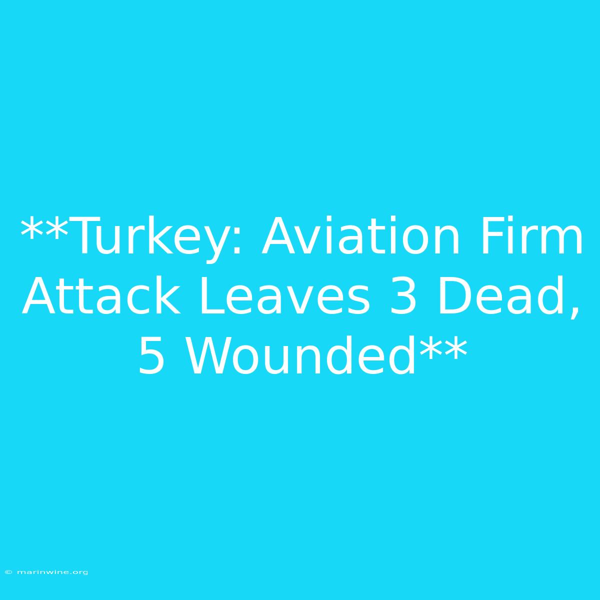 **Turkey: Aviation Firm Attack Leaves 3 Dead, 5 Wounded**