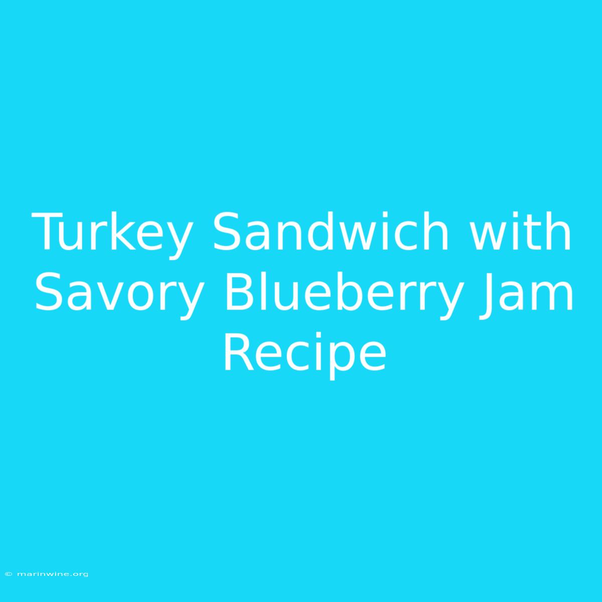 Turkey Sandwich With Savory Blueberry Jam Recipe