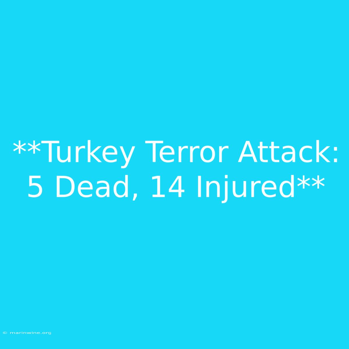 **Turkey Terror Attack: 5 Dead, 14 Injured**