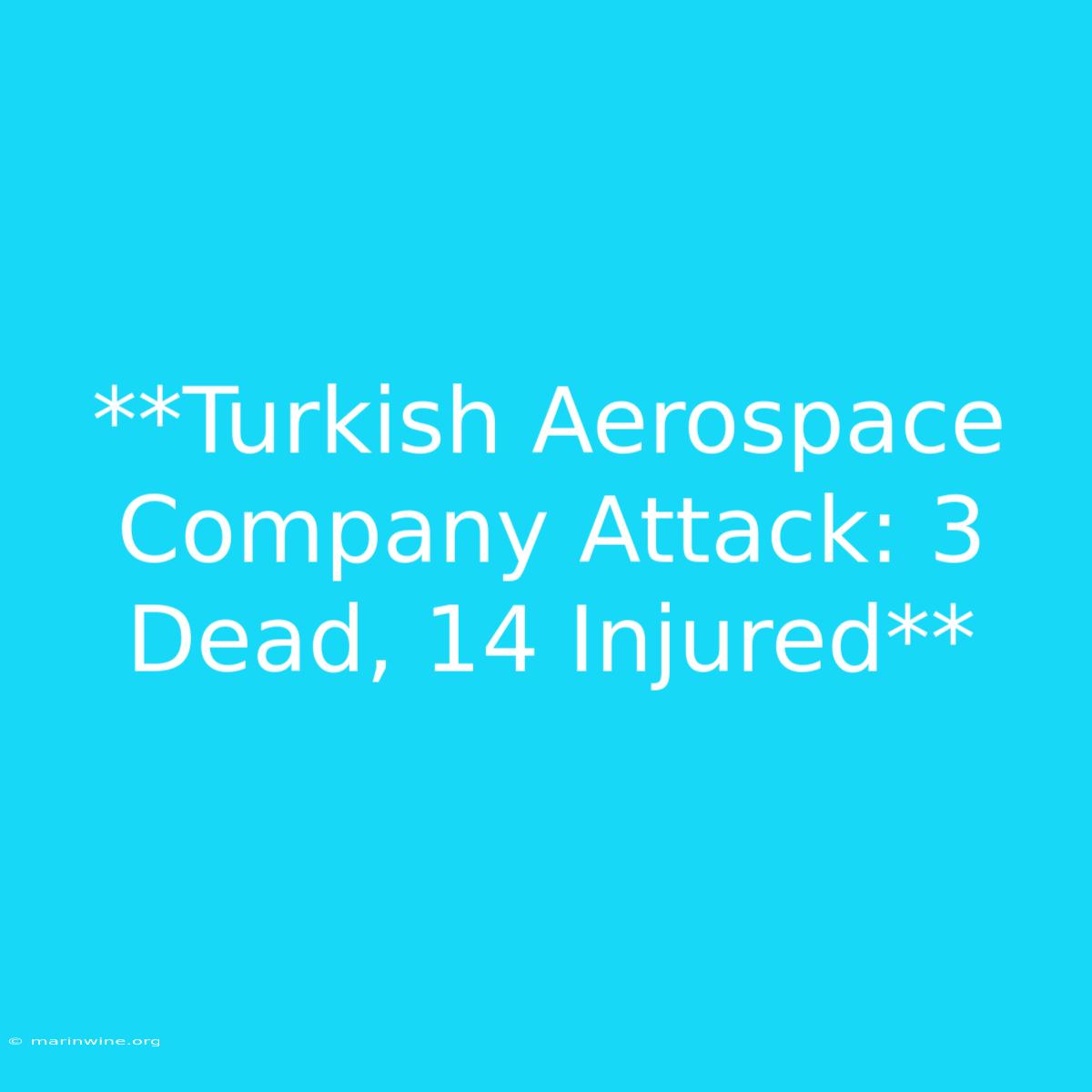 **Turkish Aerospace Company Attack: 3 Dead, 14 Injured**