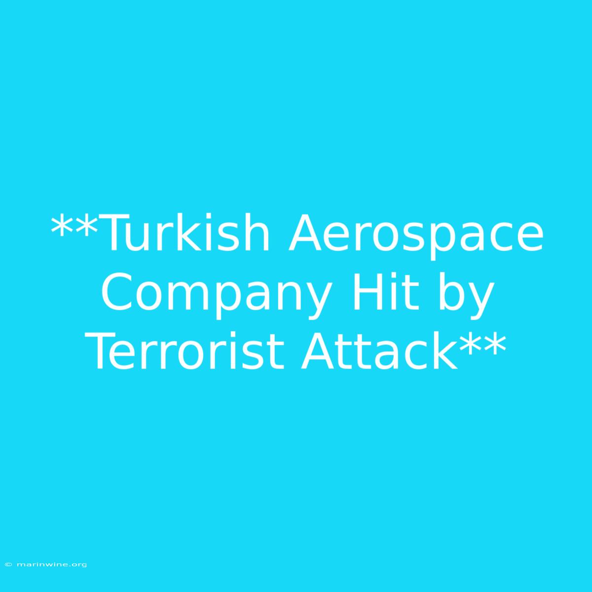 **Turkish Aerospace Company Hit By Terrorist Attack**