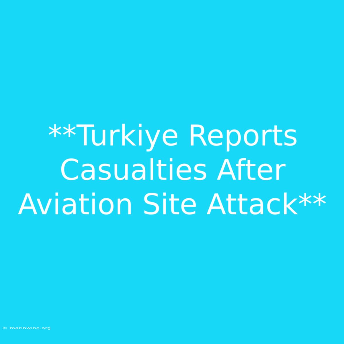 **Turkiye Reports Casualties After Aviation Site Attack**