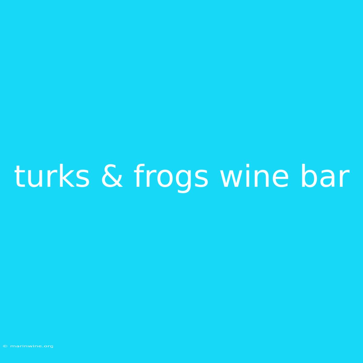 Turks & Frogs Wine Bar