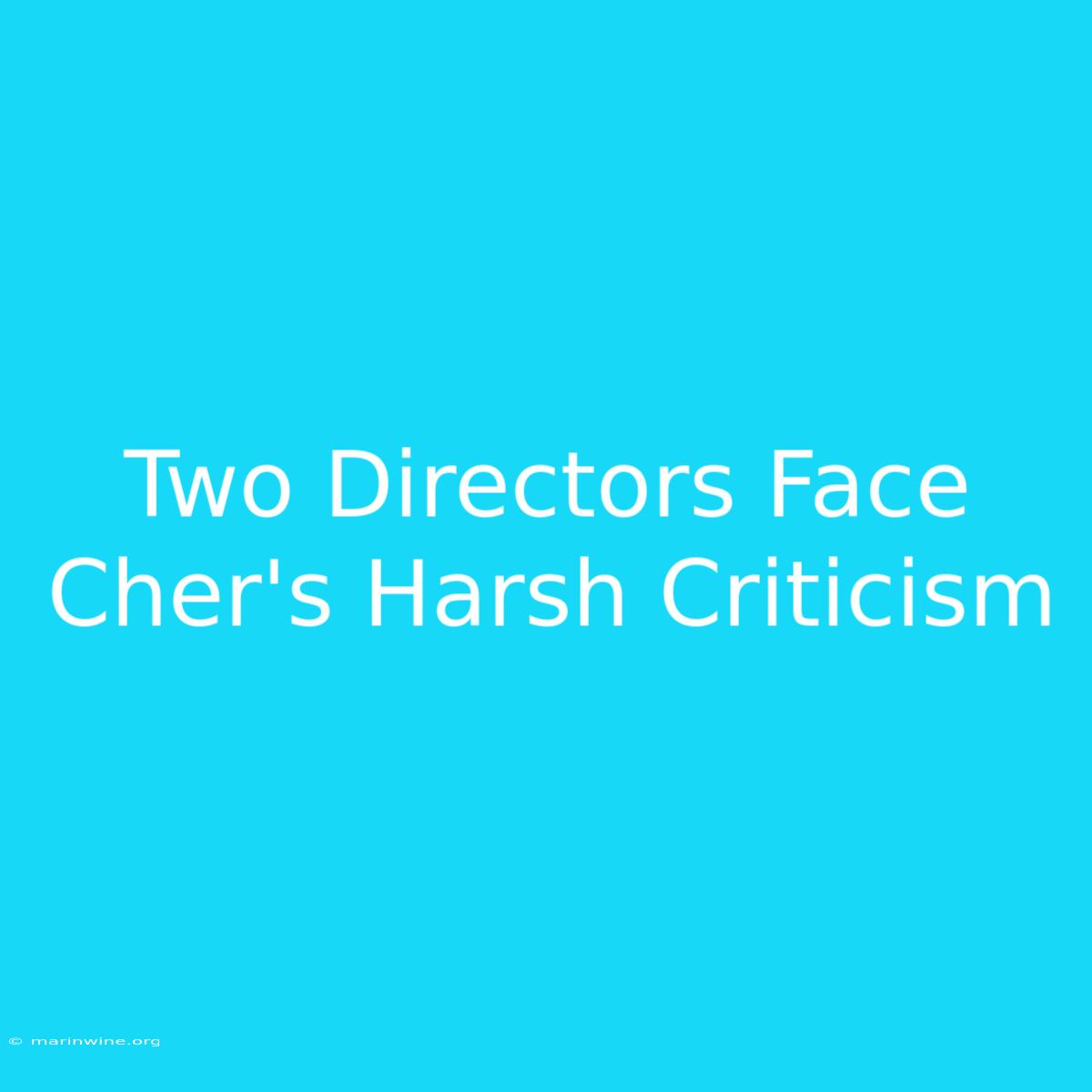 Two Directors Face Cher's Harsh Criticism