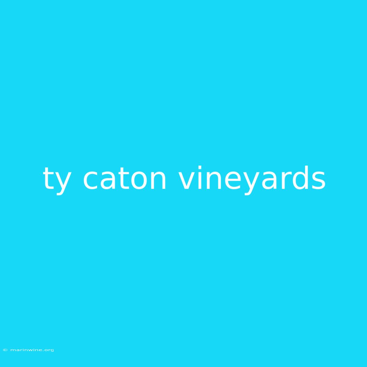 Ty Caton Vineyards