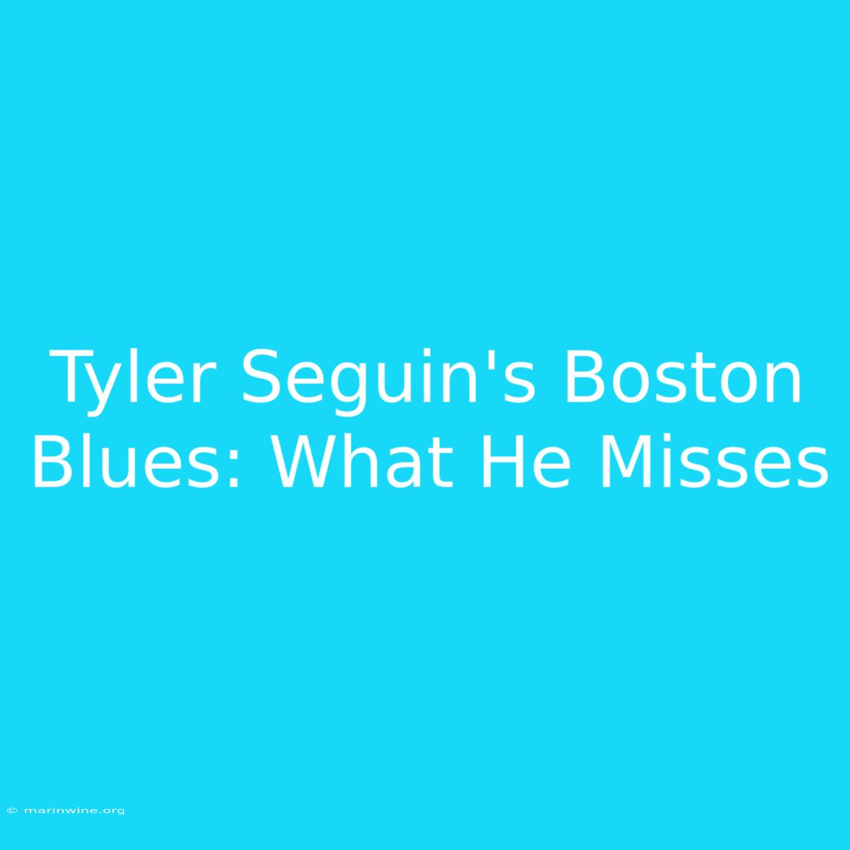 Tyler Seguin's Boston Blues: What He Misses