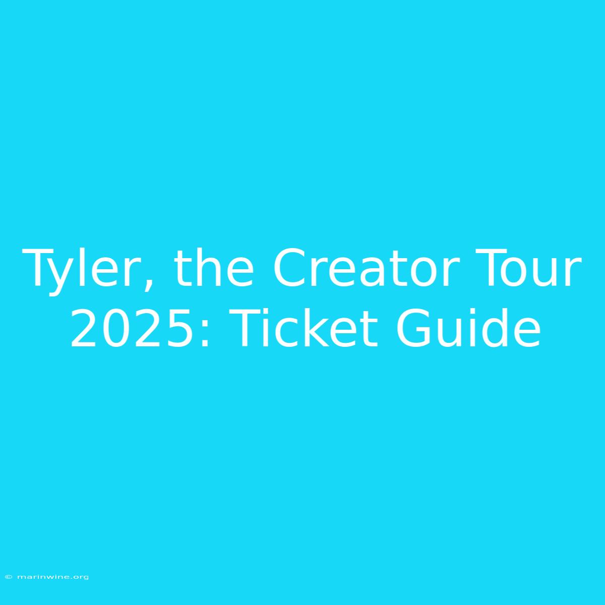 Tyler, The Creator Tour 2025: Ticket Guide