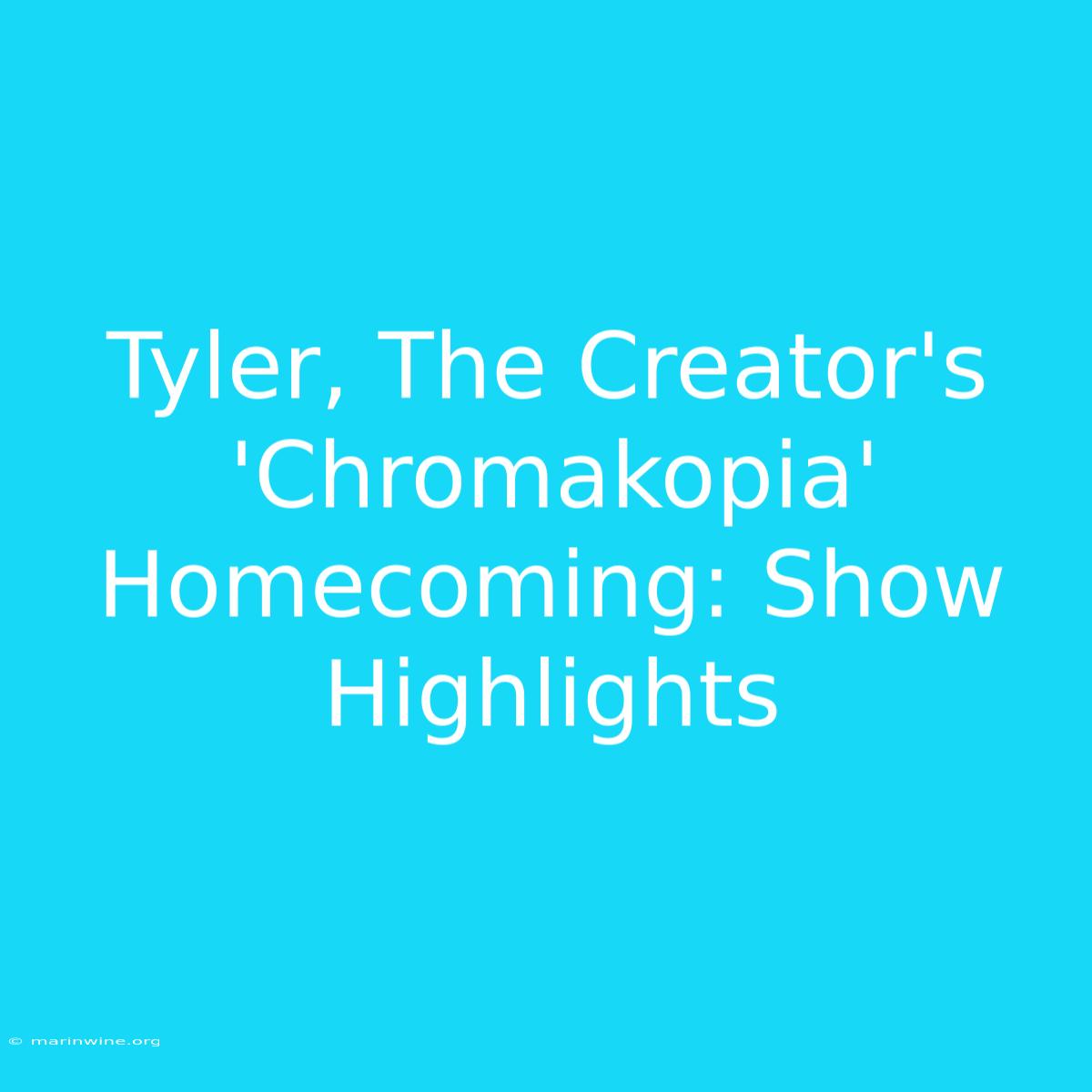 Tyler, The Creator's 'Chromakopia' Homecoming: Show Highlights 