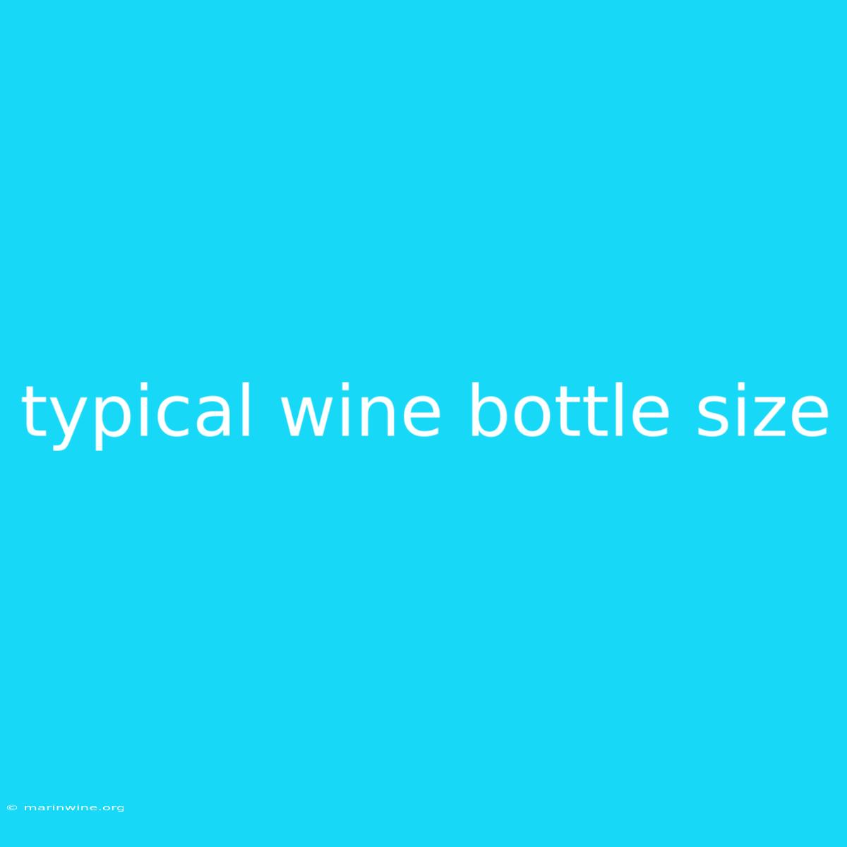 Typical Wine Bottle Size