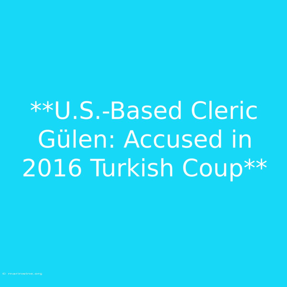 **U.S.-Based Cleric Gülen: Accused In 2016 Turkish Coup** 