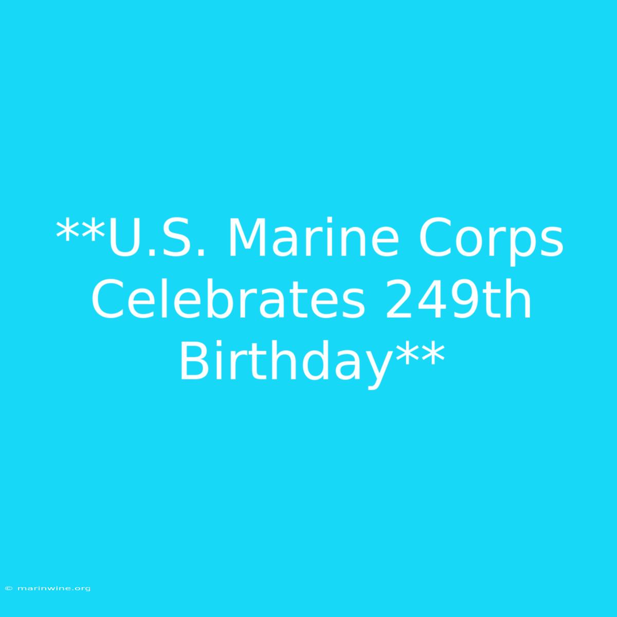 **U.S. Marine Corps Celebrates 249th Birthday**