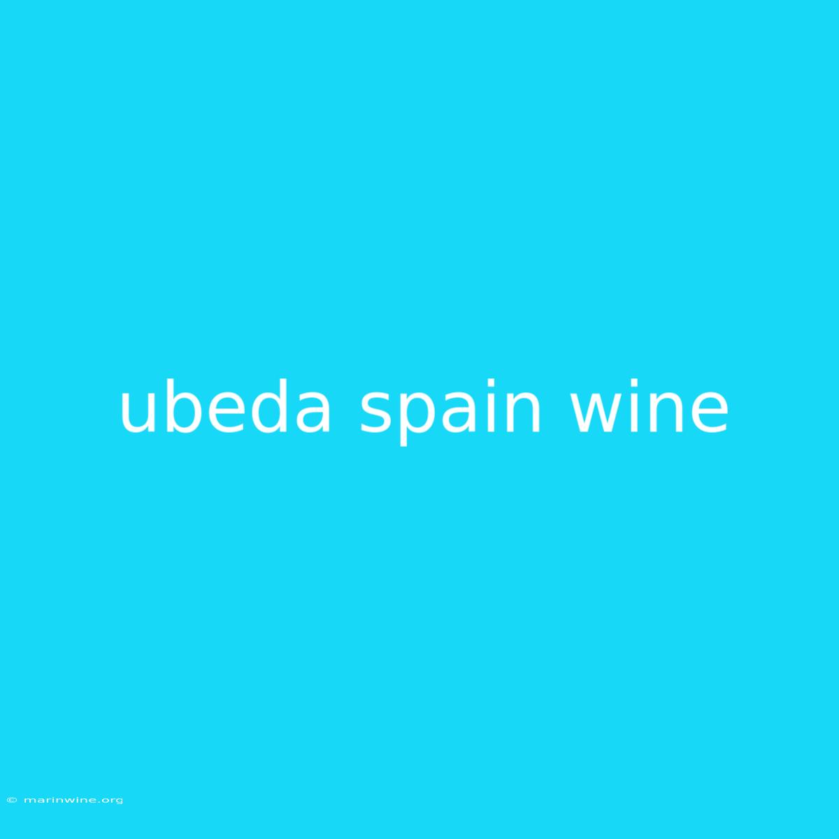 Ubeda Spain Wine