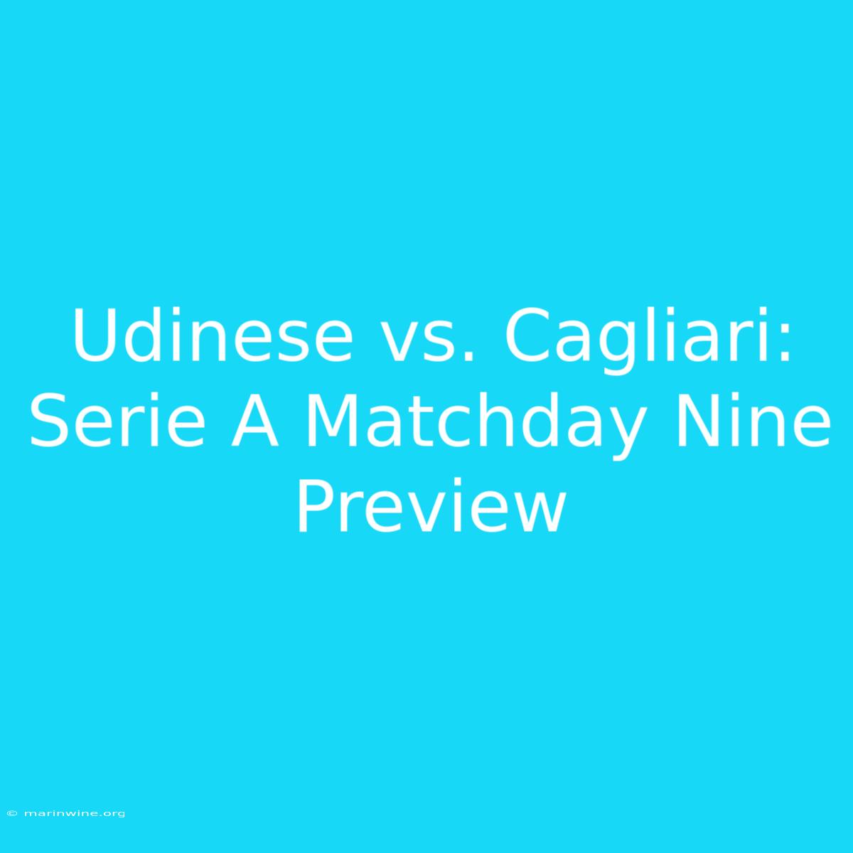 Udinese Vs. Cagliari: Serie A Matchday Nine Preview