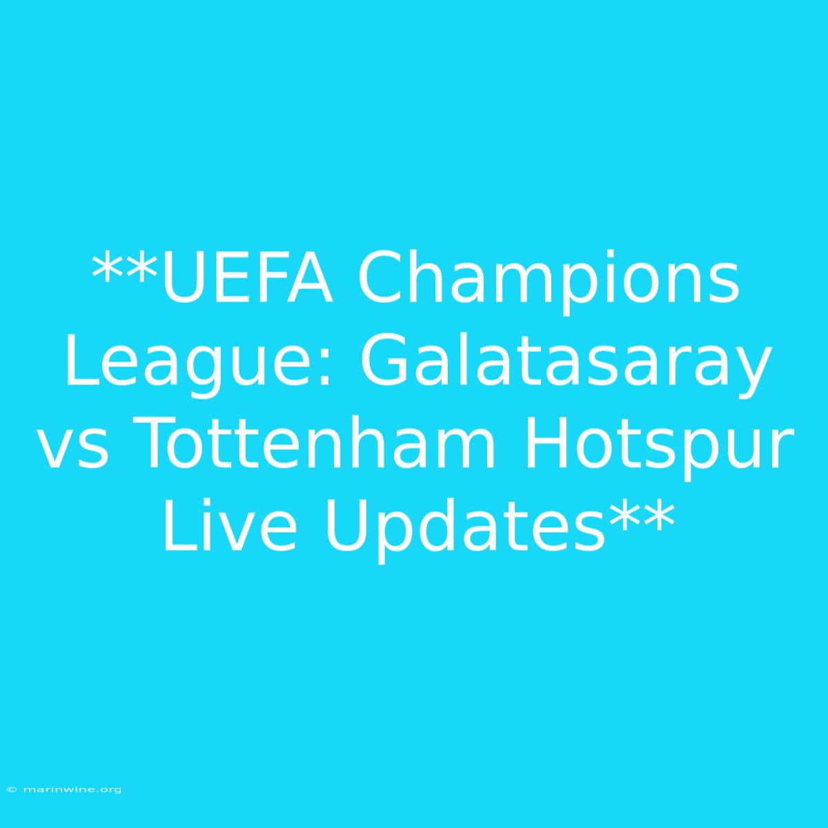 **UEFA Champions League: Galatasaray Vs Tottenham Hotspur Live Updates**