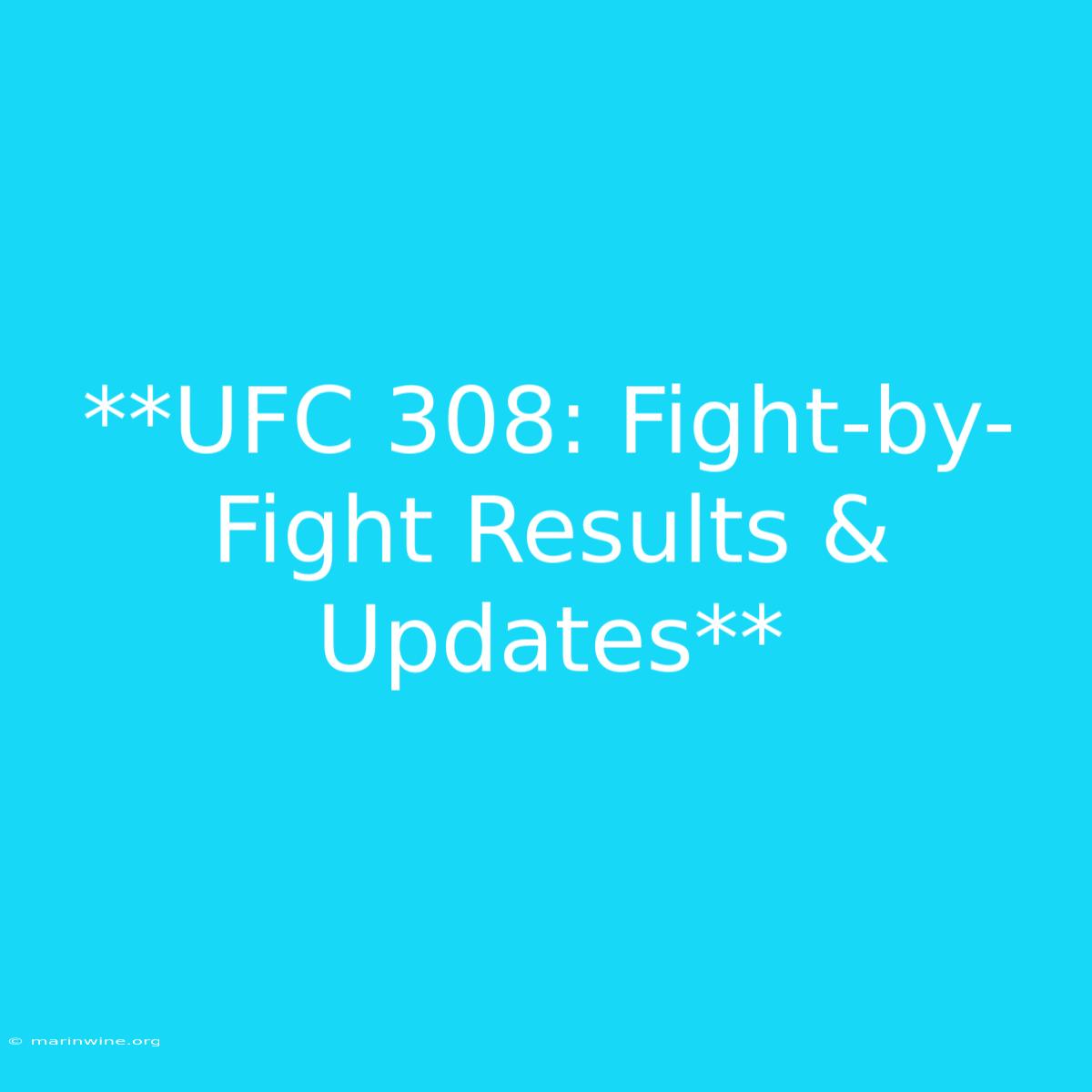 **UFC 308: Fight-by-Fight Results & Updates**