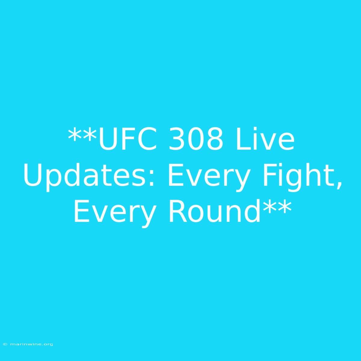 **UFC 308 Live Updates: Every Fight, Every Round** 