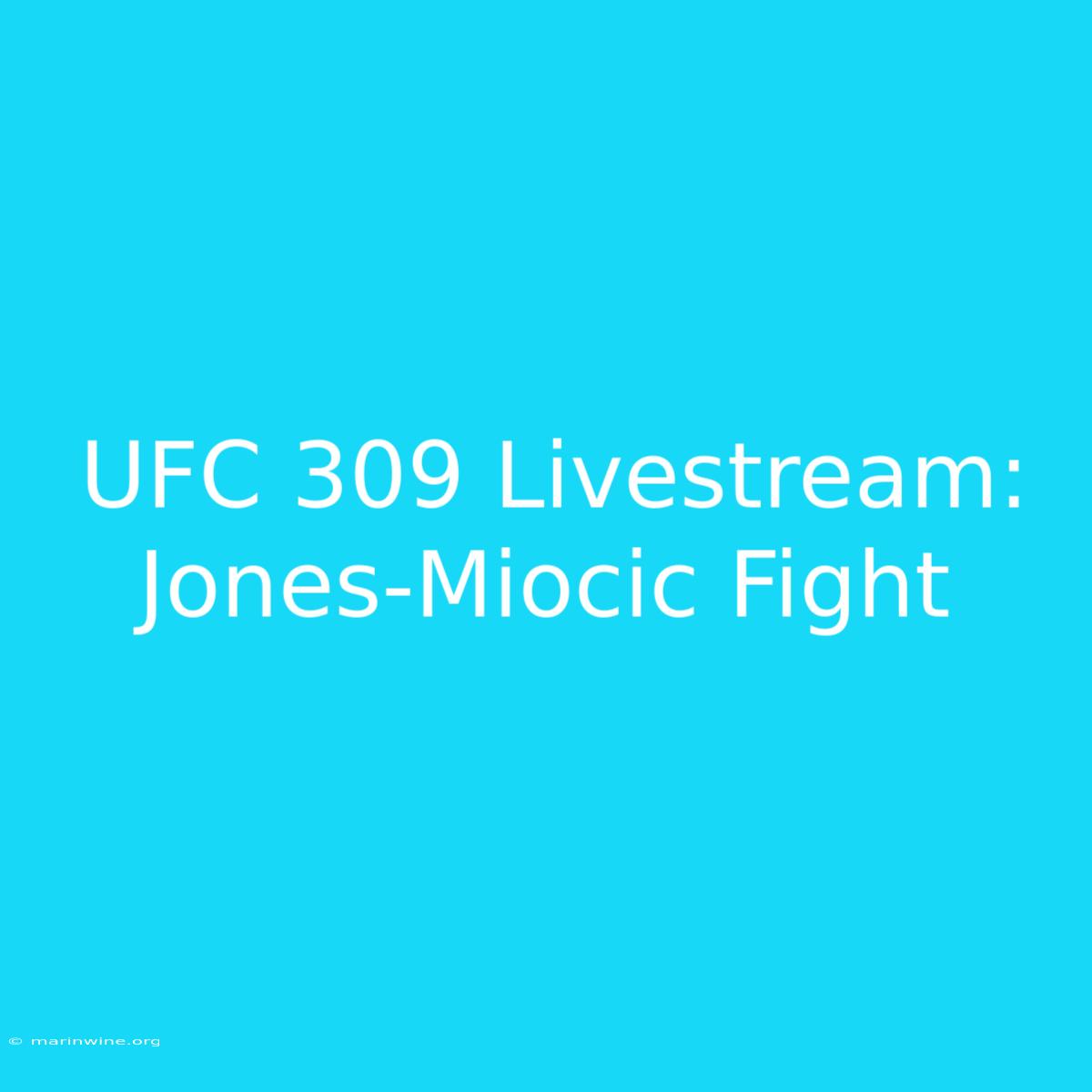 UFC 309 Livestream: Jones-Miocic Fight