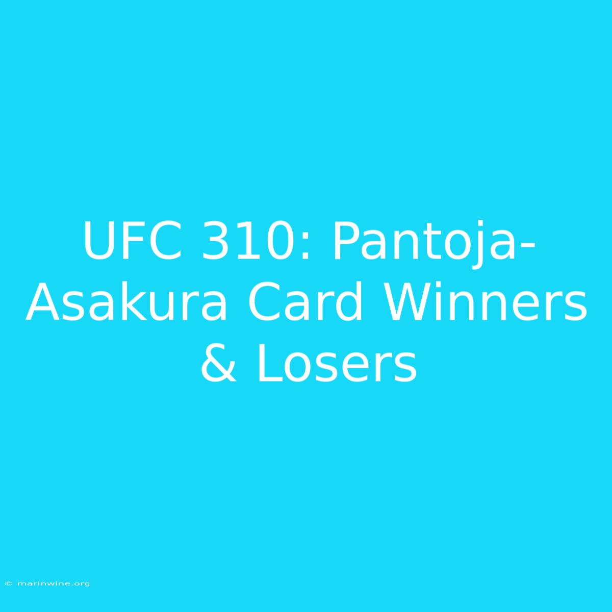 UFC 310: Pantoja-Asakura Card Winners & Losers