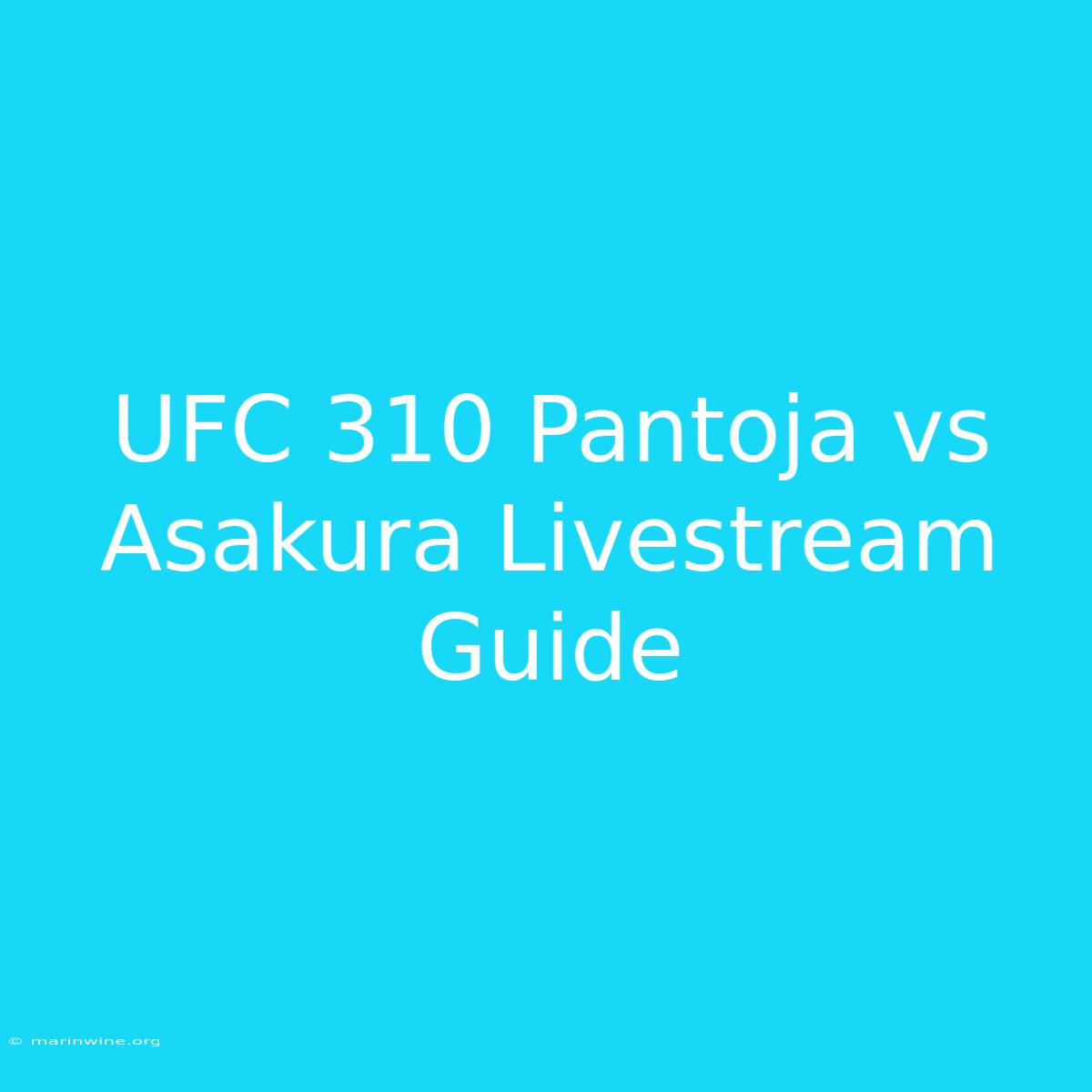 UFC 310 Pantoja Vs Asakura Livestream Guide