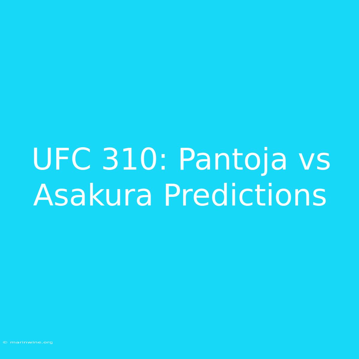 UFC 310: Pantoja Vs Asakura Predictions