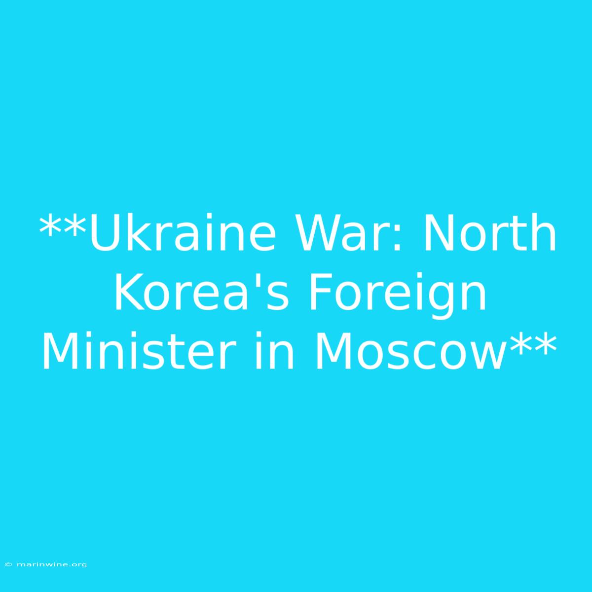 **Ukraine War: North Korea's Foreign Minister In Moscow** 