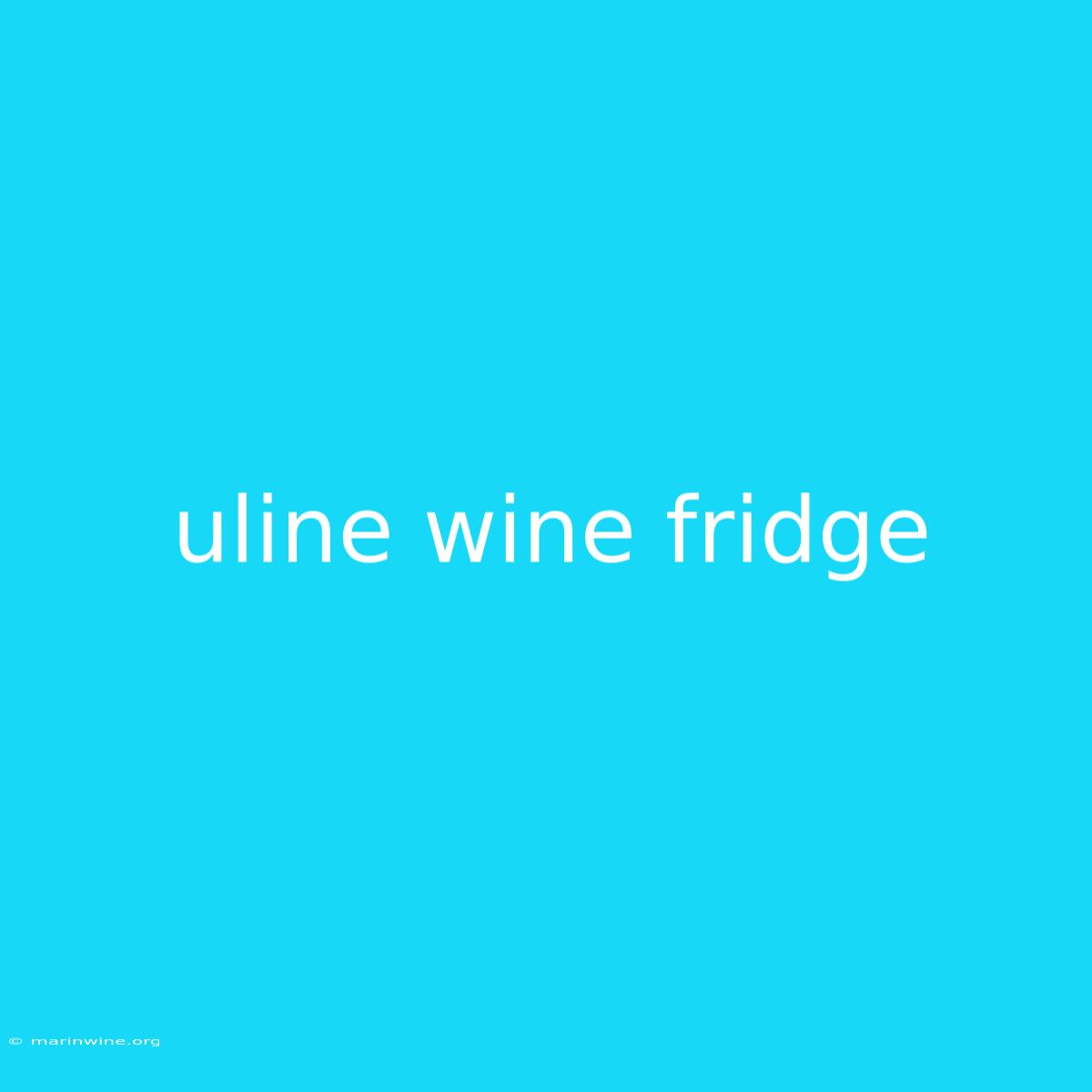 Uline Wine Fridge