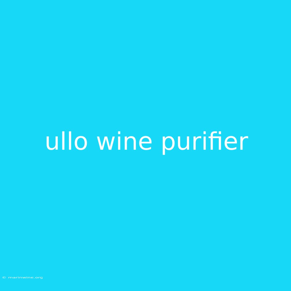 Ullo Wine Purifier