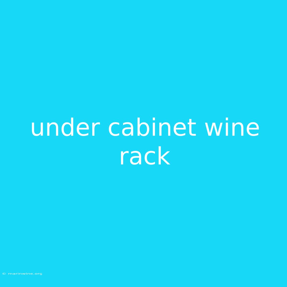 Under Cabinet Wine Rack