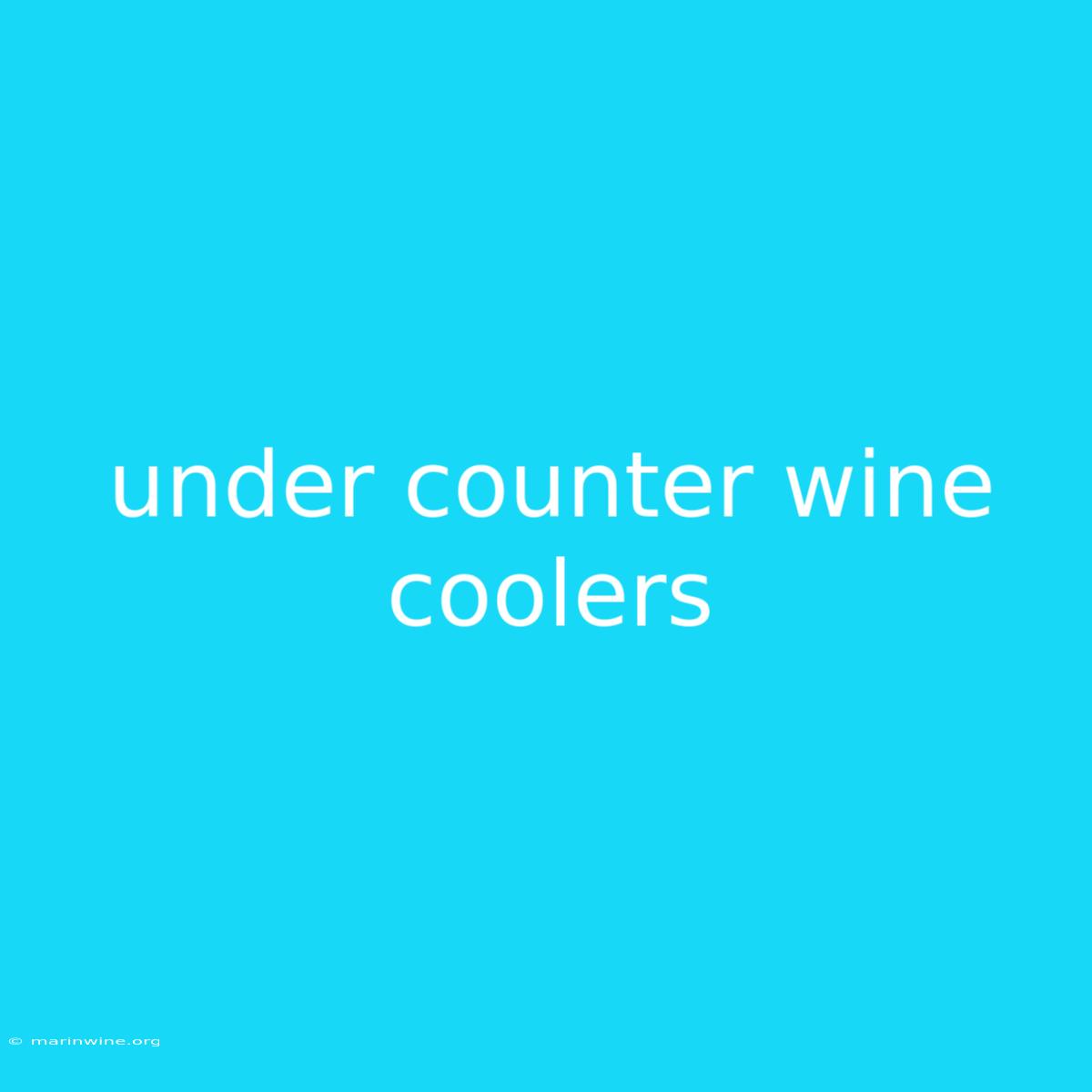 Under Counter Wine Coolers