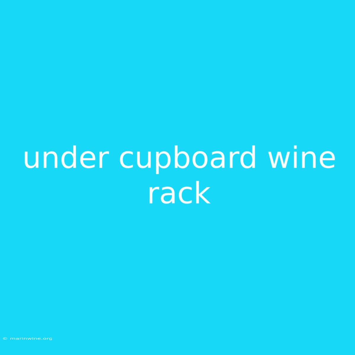 Under Cupboard Wine Rack