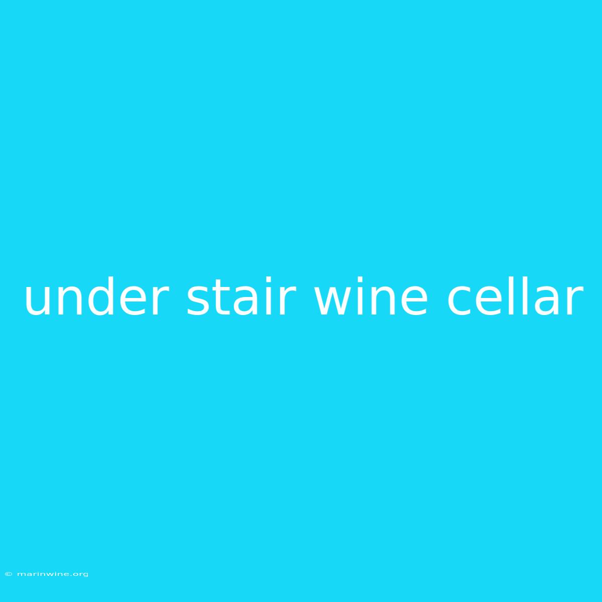 Under Stair Wine Cellar