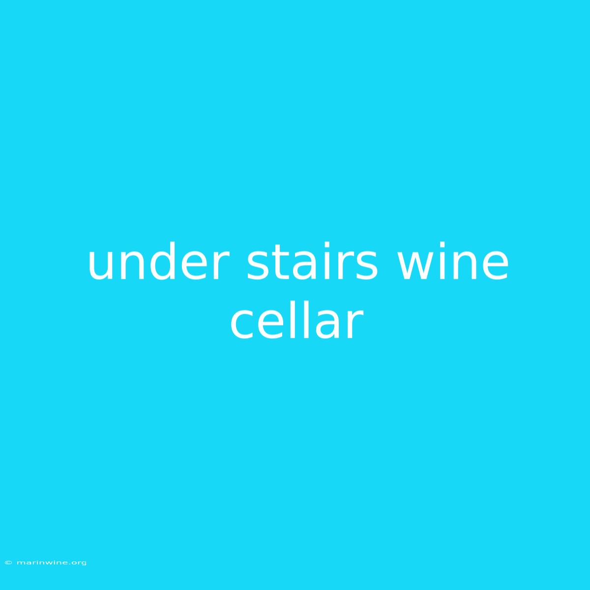 Under Stairs Wine Cellar