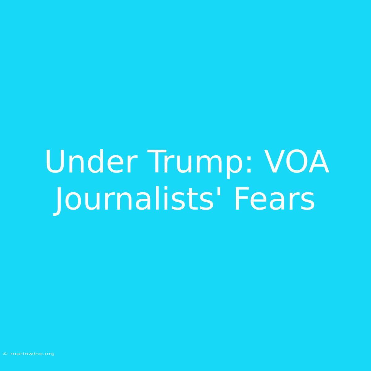 Under Trump: VOA Journalists' Fears