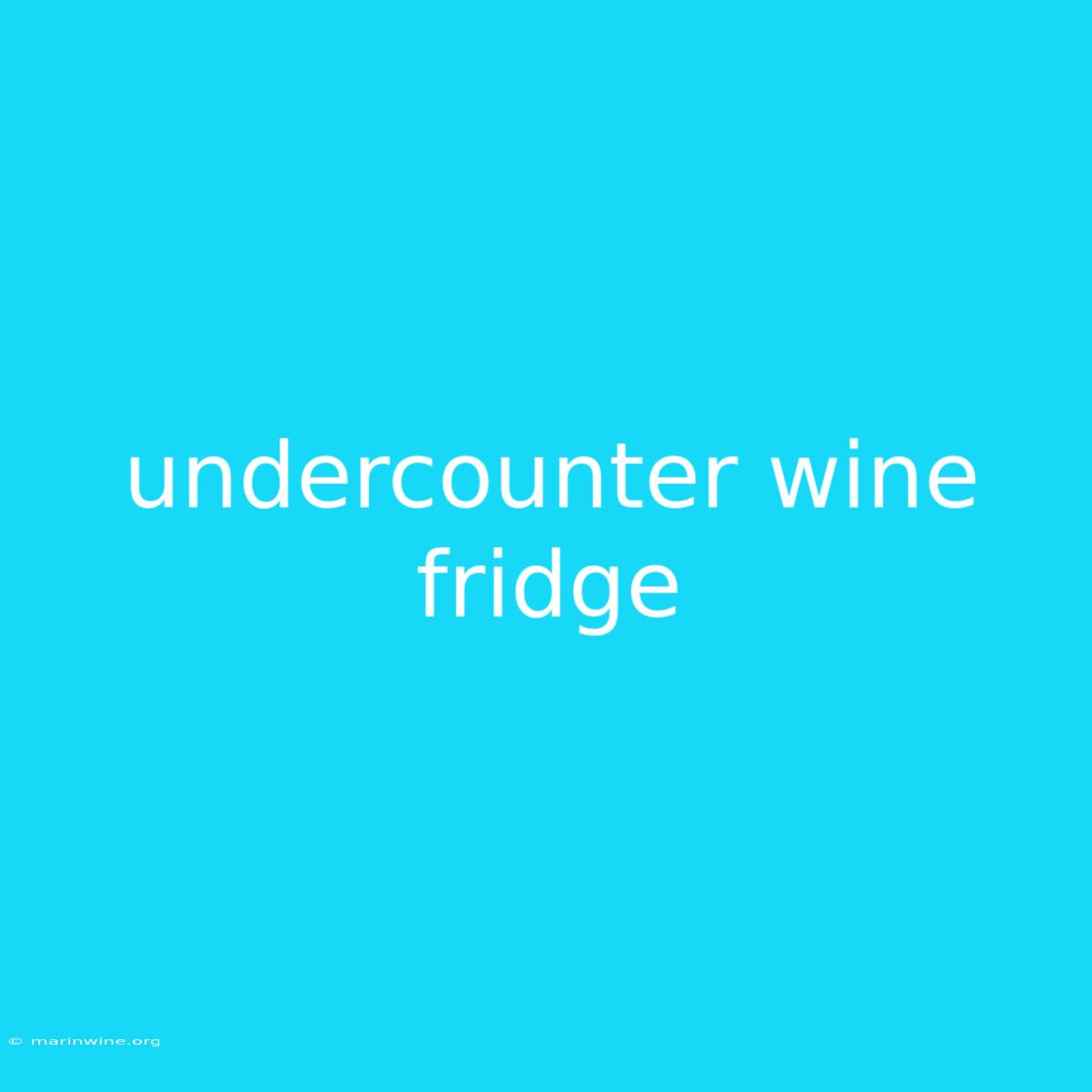 Undercounter Wine Fridge