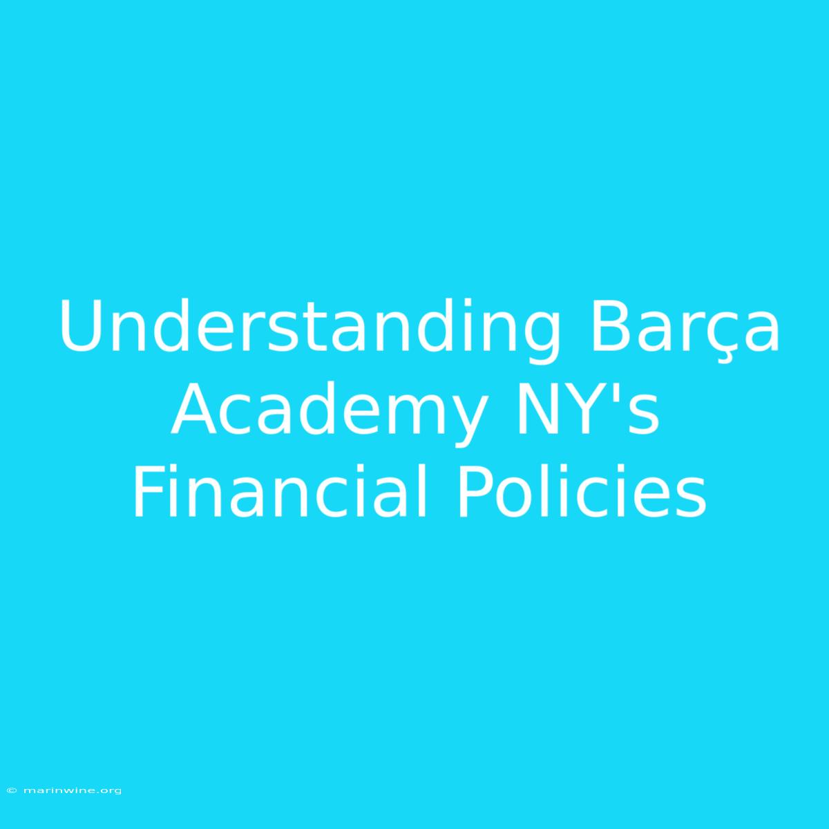 Understanding Barça Academy NY's Financial Policies