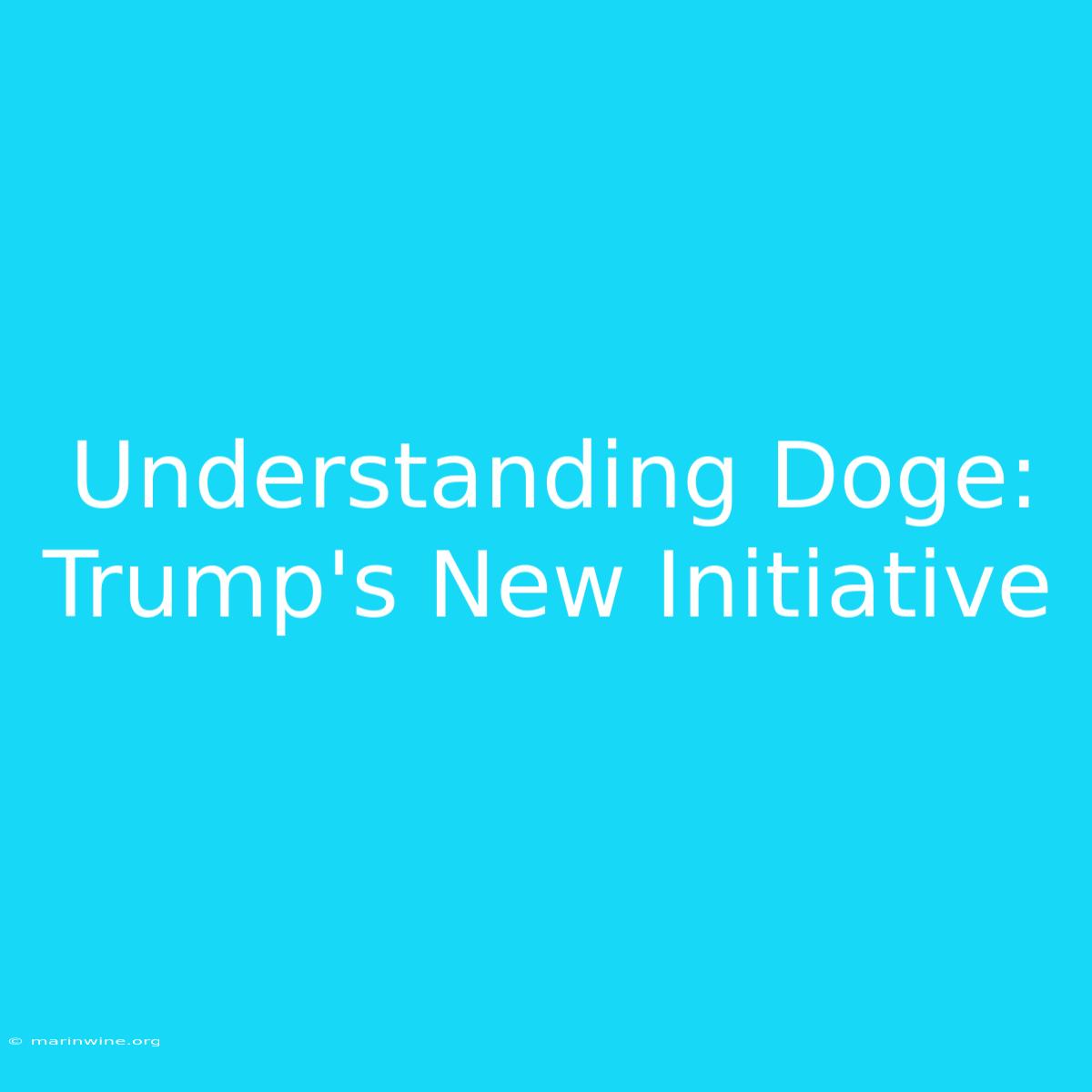 Understanding Doge: Trump's New Initiative