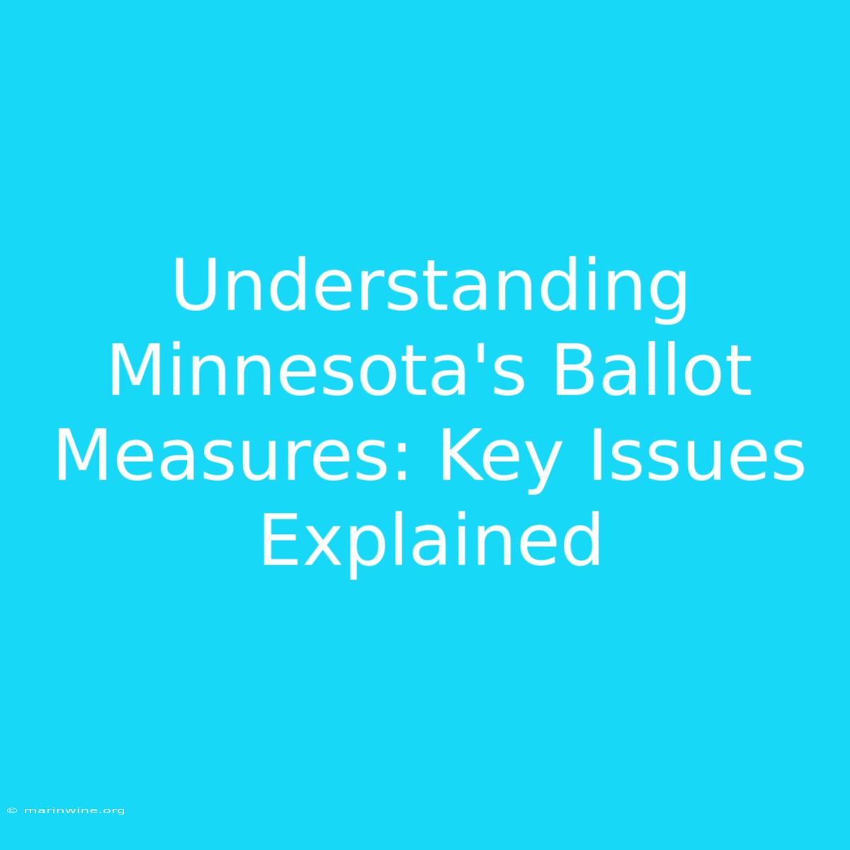 Understanding Minnesota's Ballot Measures: Key Issues Explained