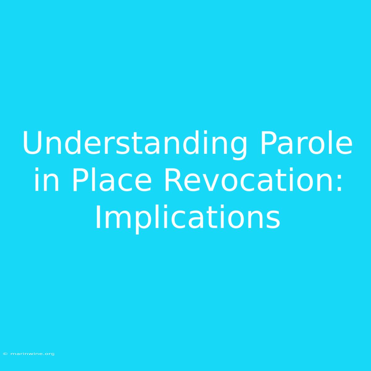 Understanding Parole In Place Revocation: Implications