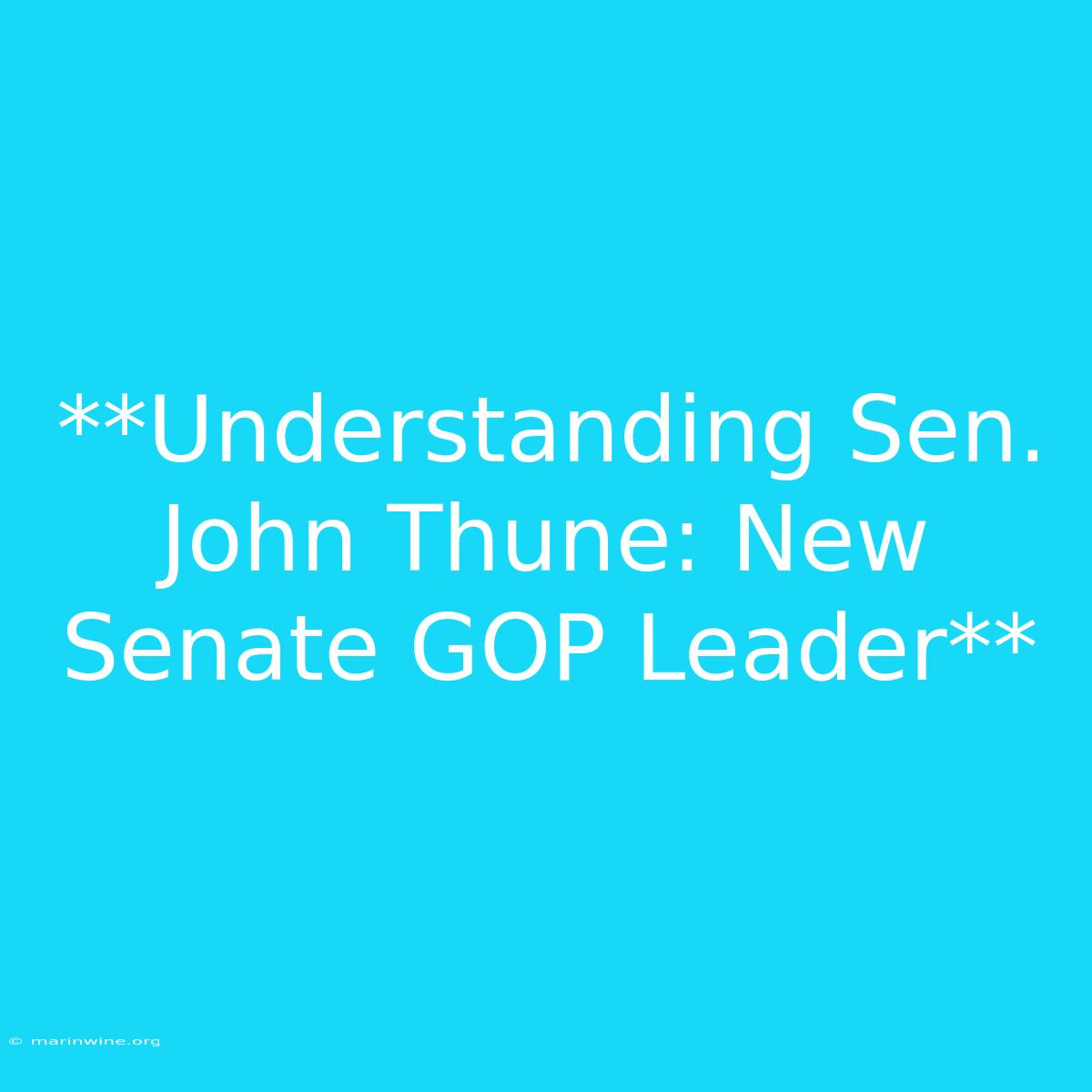 **Understanding Sen. John Thune: New Senate GOP Leader**