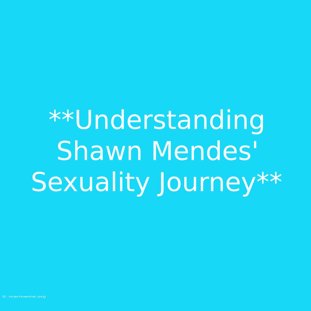 **Understanding Shawn Mendes' Sexuality Journey** 