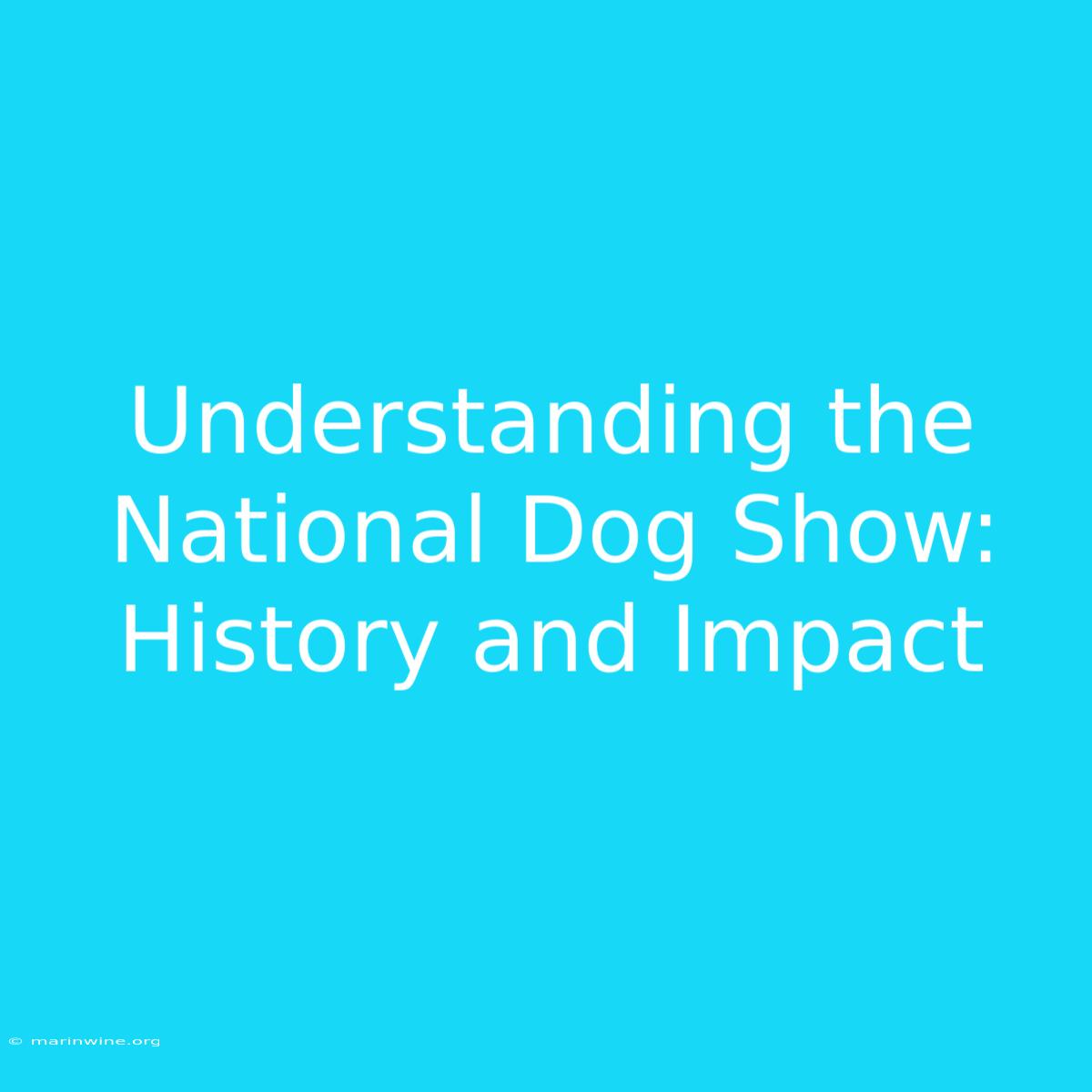 Understanding The National Dog Show: History And Impact